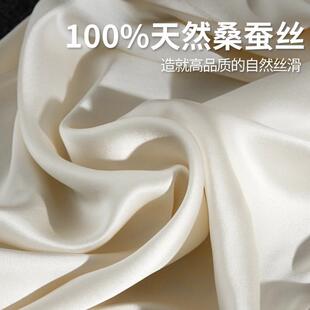 真丝枕套100桑蚕丝枕头套2025新款夏季单个枕芯内胆套冰丝枕巾套