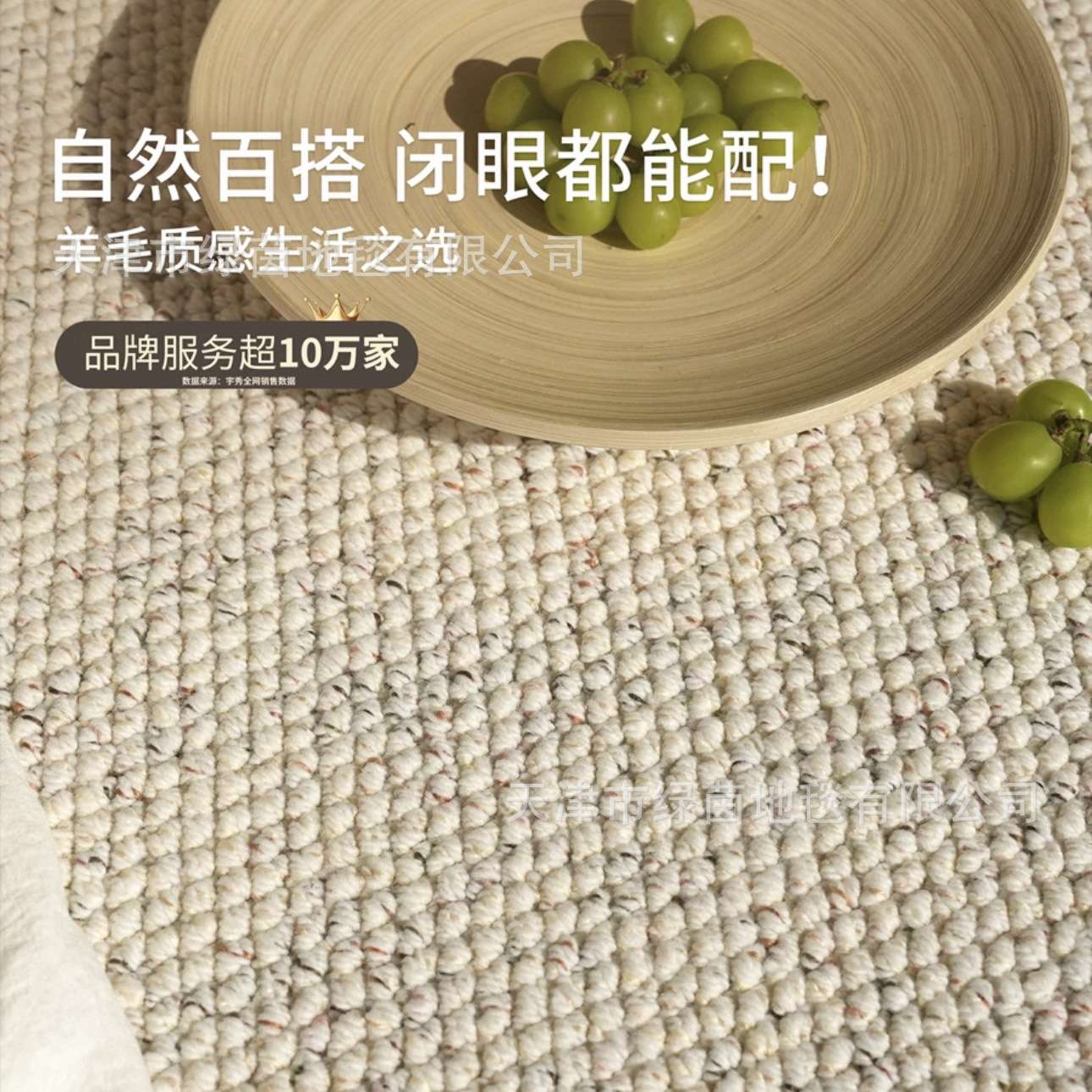 新西兰羊毛法式奶油风客厅地毯轻奢高级卧室现代简约地毯家用地垫
