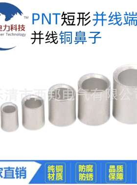 PNT1-PNT2国标中间平行端子紫铜直通柱对接裸接头并线端子中间管