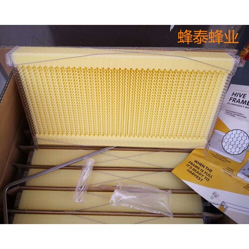 出口型热销蜂具7PCS自流蜜巢础蜂脾自流蜜蜂箱自动取蜜塑料巢础