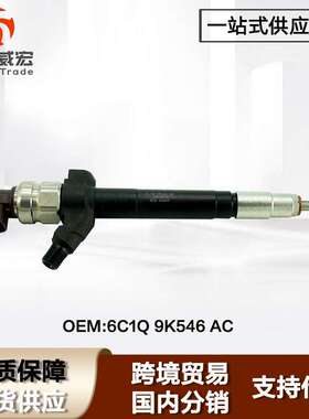 适用福特全顺喷油嘴总成FordTransit 6C1Q 9K546 AC 095000-5801