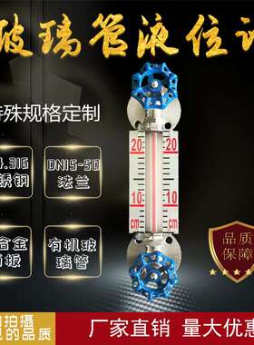 厂家直供4-20MA带远传玻璃管液位水位计不锈钢液位浮子开关
