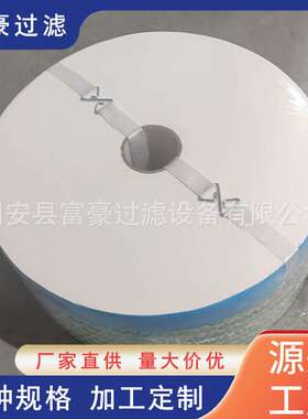 滤油机滤芯TR-20512(X300-H114)过滤芯油滤芯精密滤芯分离器滤筒