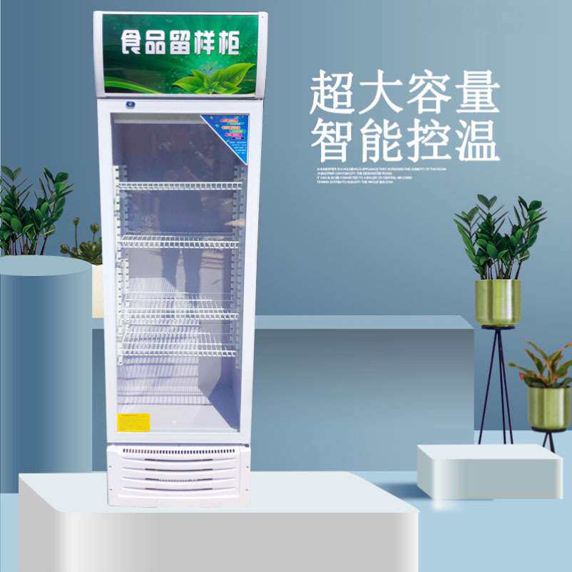 食品留样柜商用小型幼儿园食堂小冰箱带锁双锁厨房透明展示留样柜