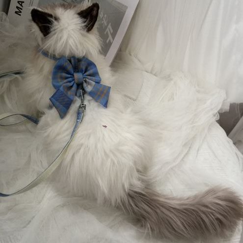 狗狗宠物猫咪牵引绳防挣脱可调节专用溜猫遛猫绳胸背带外出子链子