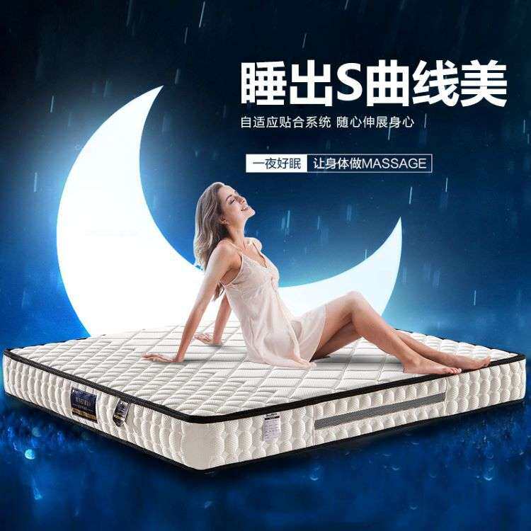 五星级酒店民宿席梦思弹簧床垫软硬两面1.5米1.8米2.2椰棕垫家具