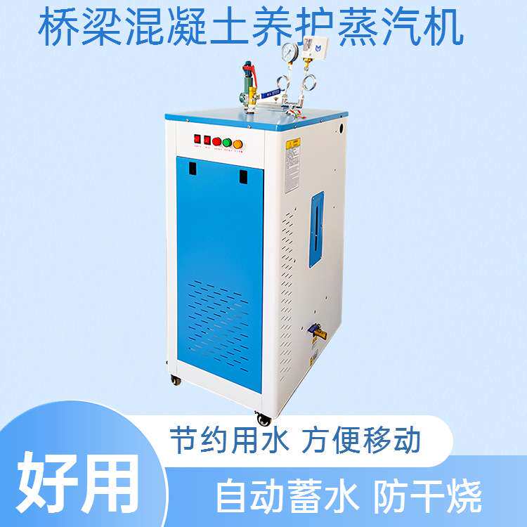 小型电加热蒸汽养护机 工业酿酒 食物蒸煮蒸汽发生器