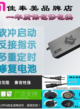 48v60vz锂电电动车充电器