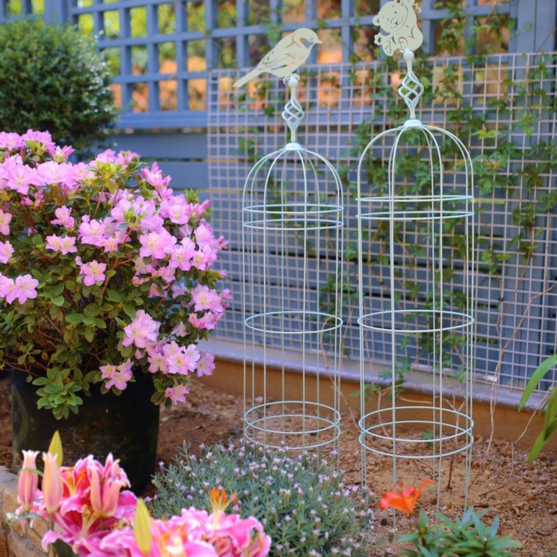 一套铁线莲花架爬藤架铁艺藤本攀爬庭院装饰户外仙U子花架花盆支