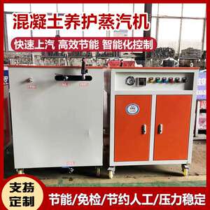 程煤蒸汽发生器桥梁养护蒸养机混凝土养护蒸汽机