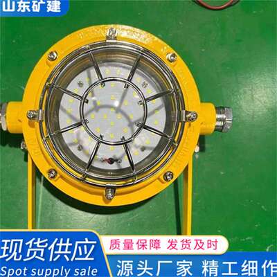 LED防爆矿用支架灯 煤矿用DGC35/127L(A) 资质齐全 本安型支架灯