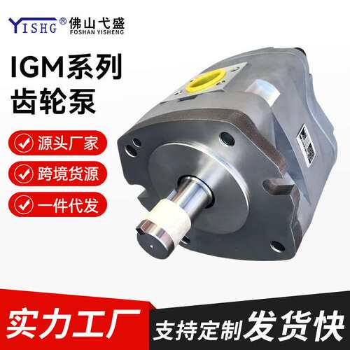 IGM-3F-10-R-20 4F 5F 6F 系列电动高压变量油泵液压齿轮泵