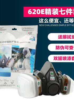3M620P防尘毒呼吸套装七件套配6001过滤盒整套精装620E套装