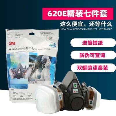 3M620P防尘毒呼吸套装七件套配6001过滤盒整套精装620E套装