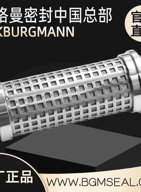 磁性过滤器 MAF2001/NPT1/2