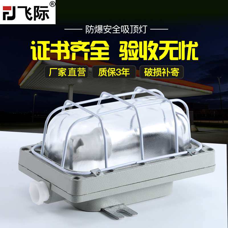LED防爆灯隔爆灯车间仓库加油站工厂灯防潮灯吸顶灯罩户外三防灯