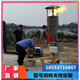 垃圾场沼气火炬 100立方安装图纸 沼气燃烧火炬点火方式
