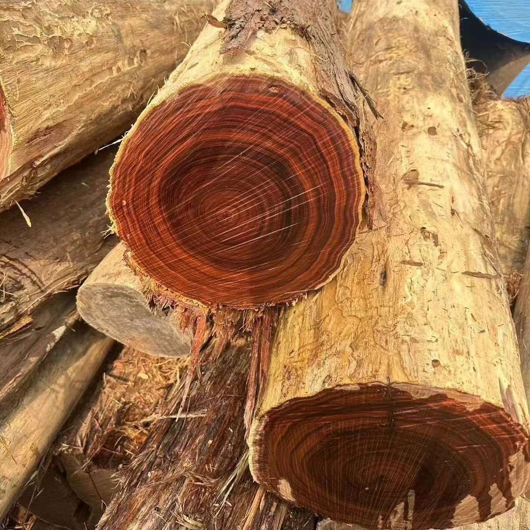 直销澳洲酸枝原木 红酸枝花枝 家具雕刻地板工艺品木 澳洲黑酸枝