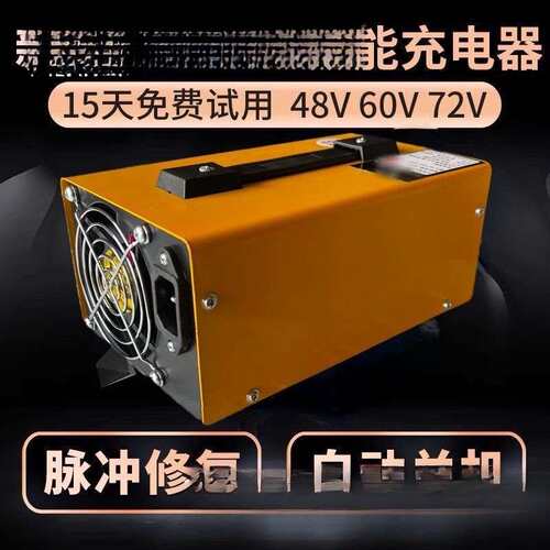 电动三轮车水电瓶充电器48v60v120ah72V自动关机只能充电器其它