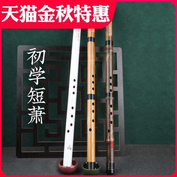 紫竹洞箫专业高档洞萧笛初学入门零基础箫乐器短潇古风八孔GF调