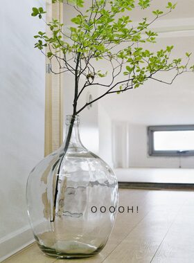 OOOOH北欧细口大肚瓶透明落地大花瓶马醉木吊钟插枝水培花器
