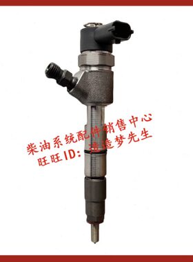 江淮轻卡骏铃云内YN33CRD电喷共轨喷油器0445110528/0445110529