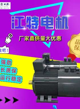 江西江特电机 YZP、YZPF系列全铜线圈45KW55KW三相异步电机厂家
