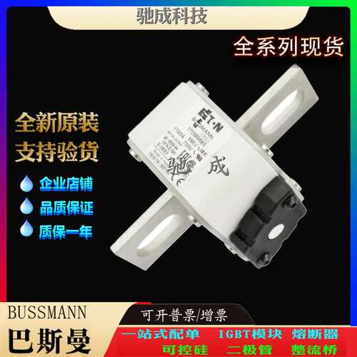巴斯曼170M6663 170M6664 170M6665 厂家直供量大价优  熔断器