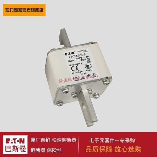 熔断器170M5008 170M5009 170M5010 170M5011 170M5012 170M5013