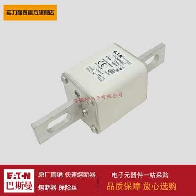 熔断器170M4659 170M4660 170M4661 170M4662 170M4663 170M4664