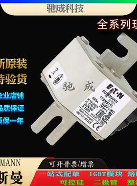 巴斯曼170M5117 170M5118 170M5119 现货供应批零兼营 低压保险丝