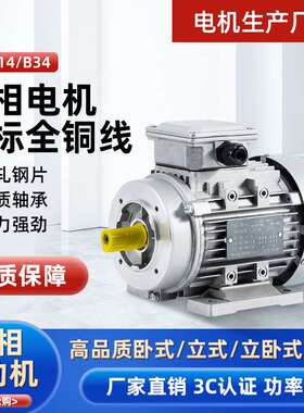 电机380V三相YS铝壳 1400转90120w180W250W370W750WKW电动机马达