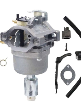 百利通化油器 Briggs & Stratton 794572 793224 791858 792358