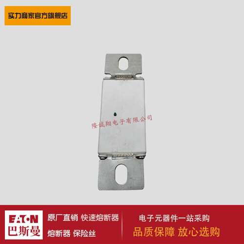 熔断器170M1584 170M1813 170M1851 170M1853 170M1865 170M2672