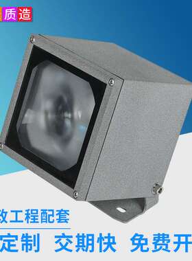 led远程聚光灯一束光20w户外防雨室外大楼投射灯亮化工程灯具