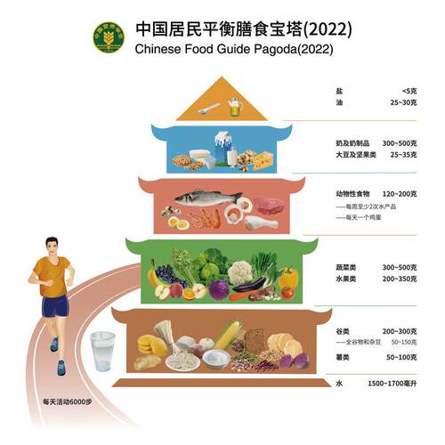 新款2022年版中国居民膳食宝塔模型仿真食物交换份道具膳食金字塔