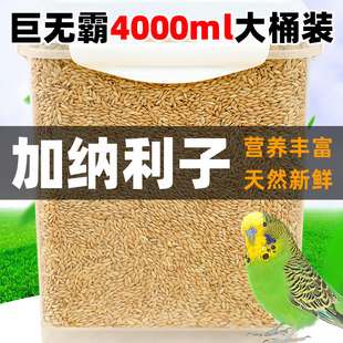 中小型鹦鹉升级配方混合粮种子量牡丹玄凤虎皮新鸟粮自配加纳利子