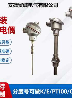 铠装热电偶 K型WRN2-321 WRN2-331活动法兰L=550 材质316