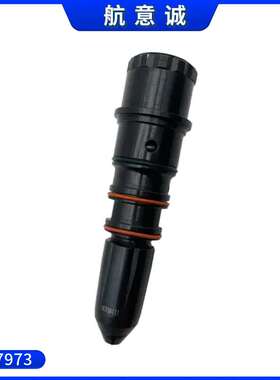 3047973 康明斯 N855 NT855 NTA855 柴油发动机喷油器