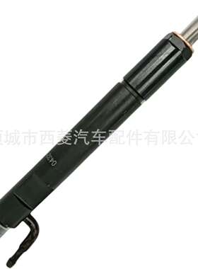 0432193596 喷油器总成 道依茨 0421760 Deutz FL1011F喷油器