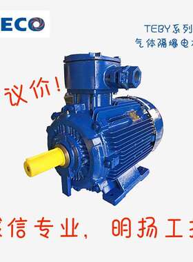东元防爆电机 TEBY-100L1-4TEBY-100L1-42.2KW 4P 100L 1450r/m