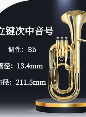 ROWELL辰辉系列降B调立键次中音号 高品质专业演奏级管乐器