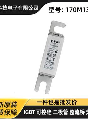 巴斯曼高压快速熔断器170M1321 170M1322 170M1358原盒原装