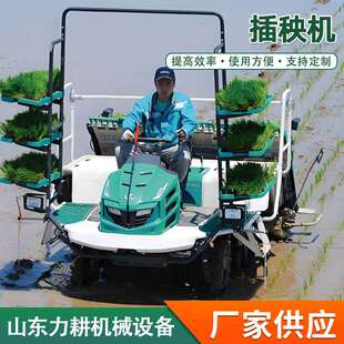 农用水田栽苗机单人操作水稻插秧机手扶式水稻新式六行插秧机