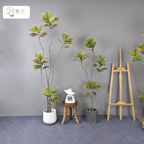 仿真洒金榕落地摆设假植物造景高端软装酒店大厅仿生植物装饰摆件