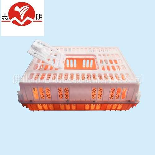 志明塑胶鸡笼鹌鹑笼运输周转箩养殖塑料笼