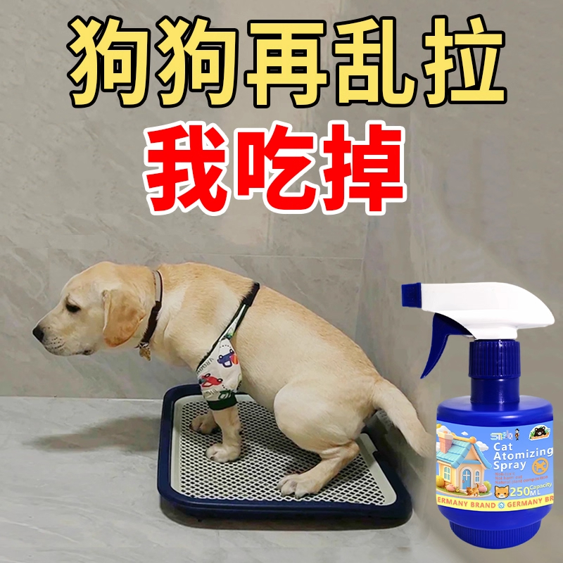 狗狗定点上厕所神器专研狗定点排便神器上厕所诱导剂大小便训练