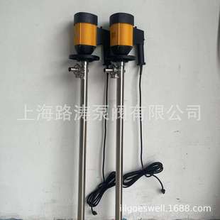 SS304 1800HP不锈钢电动插桶泵化工油桶泵电动抽液泵 路涛HD