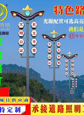 源头厂家供应8米10米双臂热镀锌l220v超亮led户外市政市电道路灯