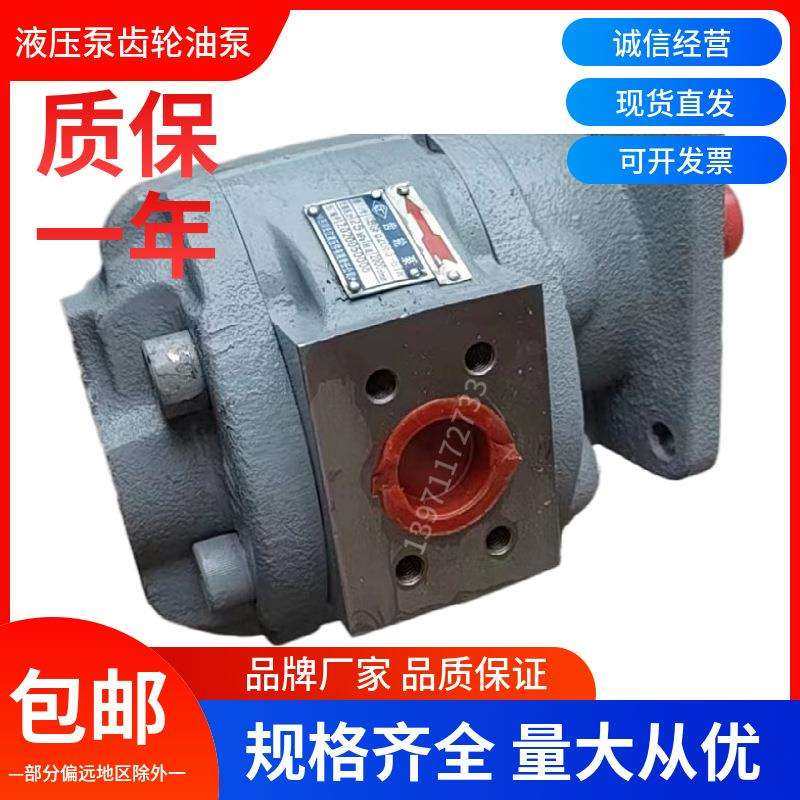 齿轮油泵CBGFa2080-B1R四川长江液压泵CBGFa2063-B1L高压泵动力泵,标准件/零部件/工业耗材,液压泵,淘宝优惠券,粉丝福利购,淘宝优惠卷